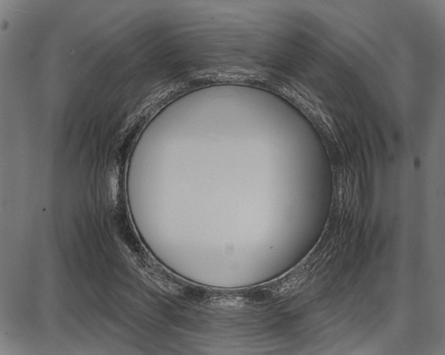 X0000087670206200705040734