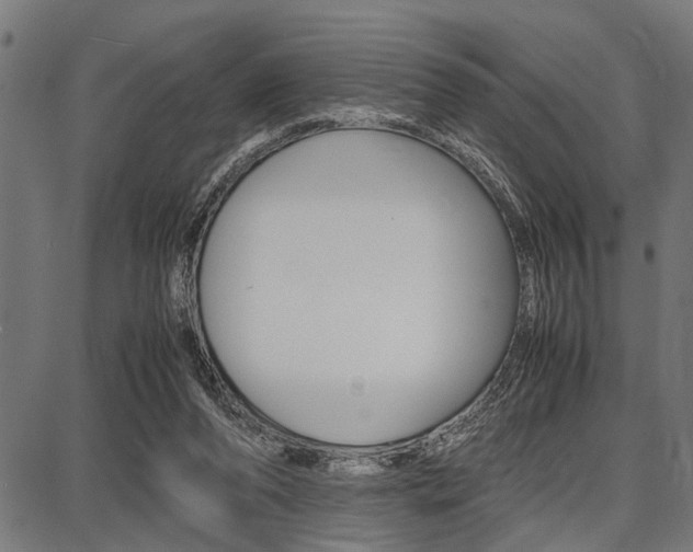 X0000087670208200705040734