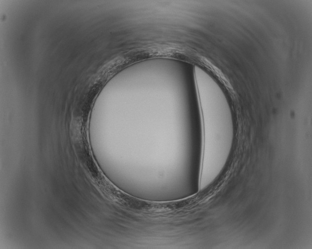 X0000087670209200705040734