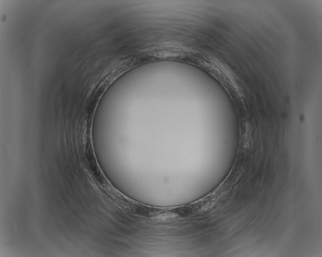 X0000087670210200705040734