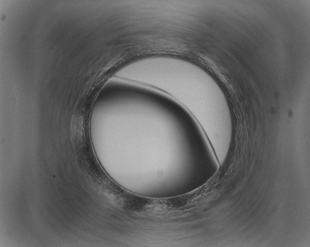 X0000087670211200705040734