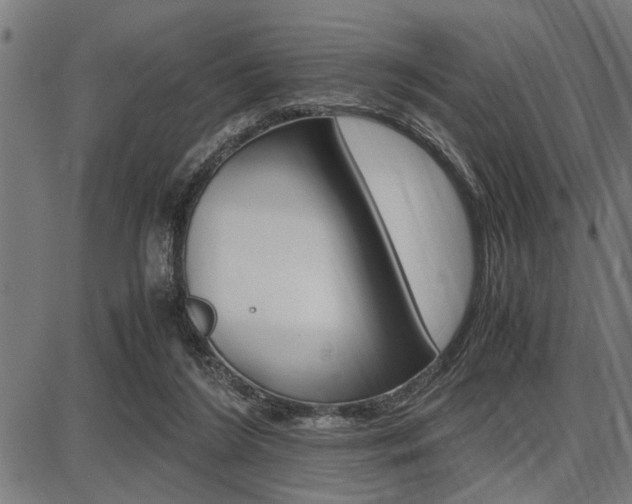 X0000087670212200705040733