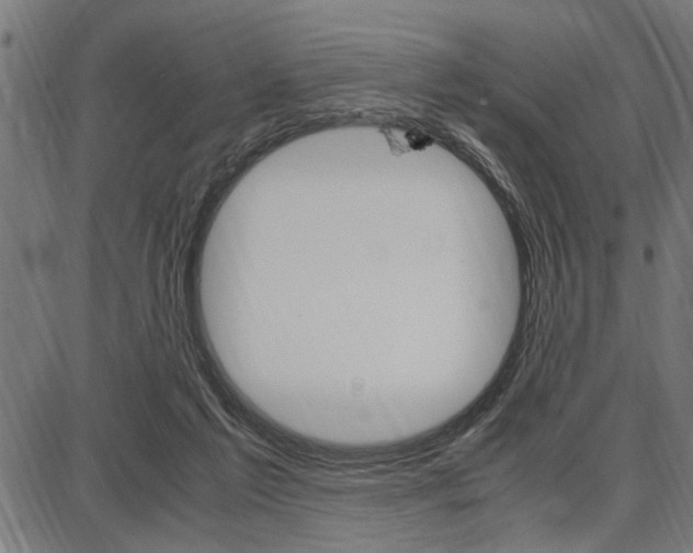 X0000087670213200705040733