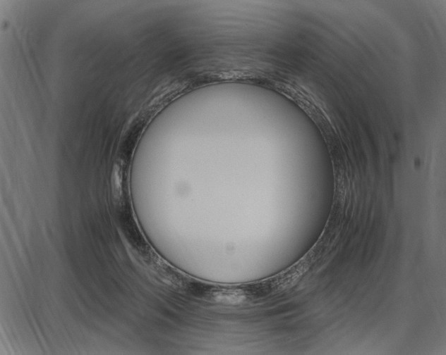 X0000087670214200705040733