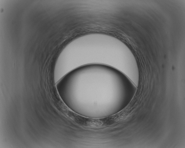 X0000087670215200705040733