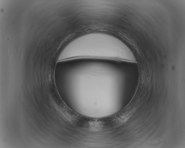 X0000087670216200705040733