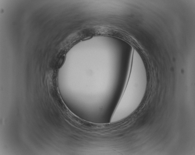 X0000087670217200705040733