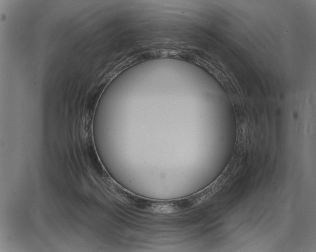 X0000087670218200705040733