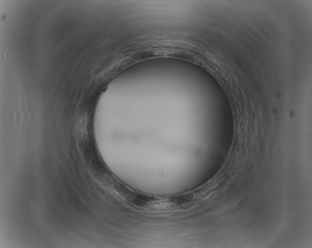 X0000087670219200705040733