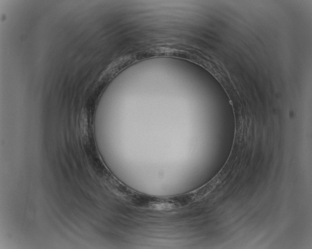 X0000087670220200705040733