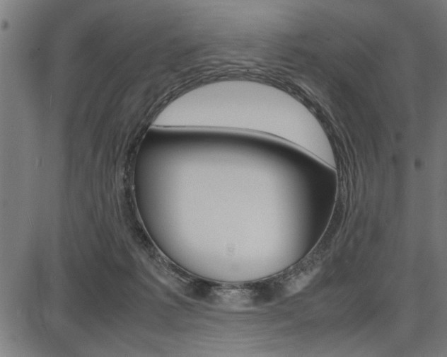 X0000087670221200705040733