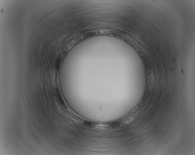 X0000087670222200705040733