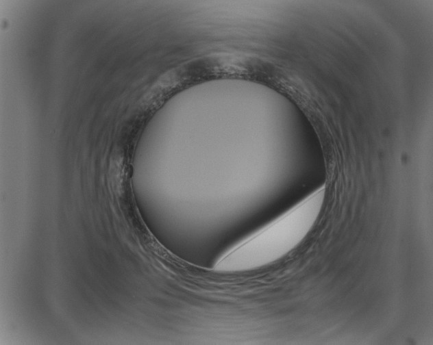 X0000087670223200705040733