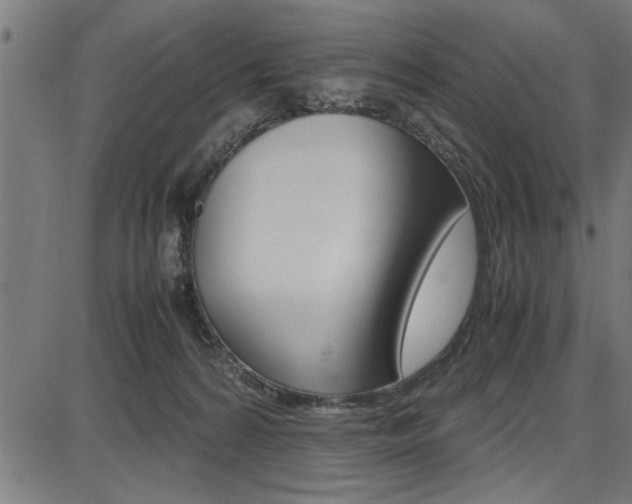 X0000087670224200705040733