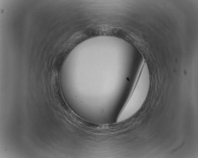 X0000087670225200705040733