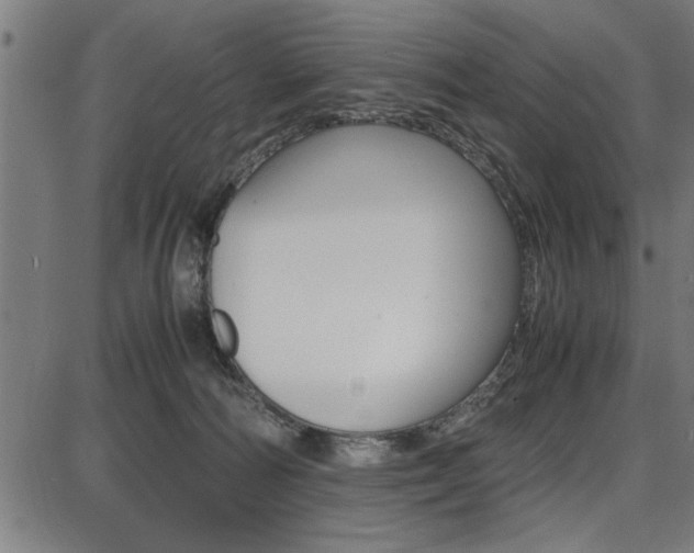 X0000087670226200705040733