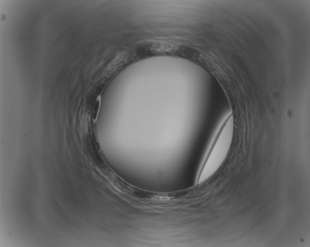 X0000087670227200705040733