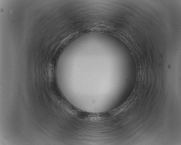 X0000087670228200705040733