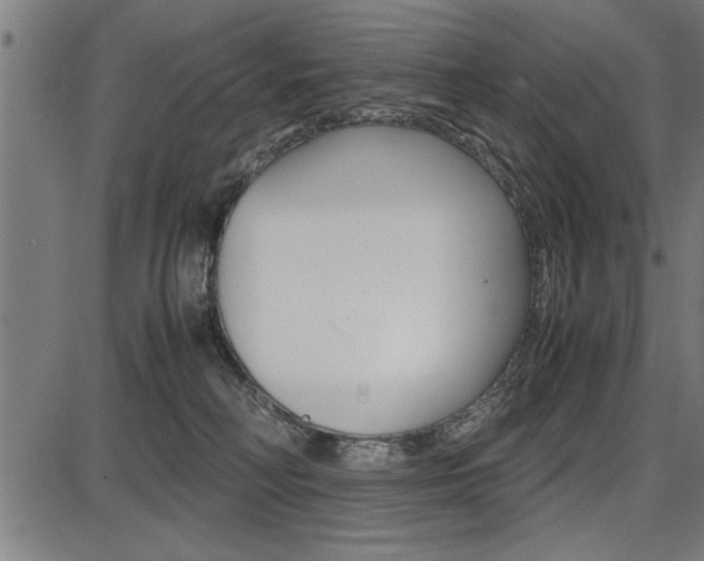 X0000087670230200705040733