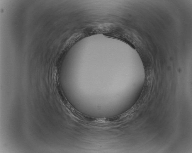 X0000087670231200705040733