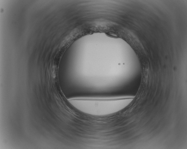 X0000087670232200705040733