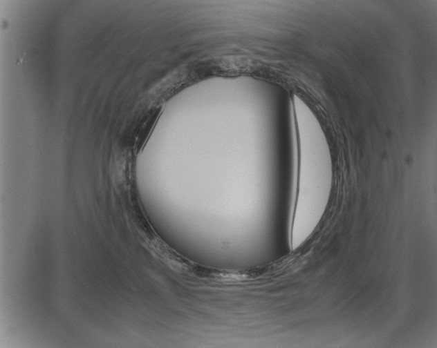 X0000087670233200705040733