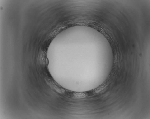 X0000087670234200705040733