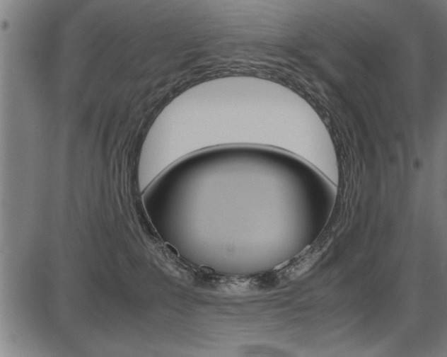 X0000087670235200705040733