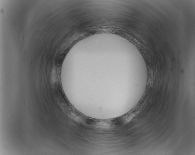 X0000087670236200705040733