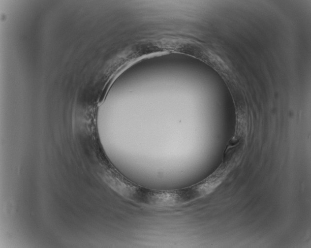 X0000087670237200705040733