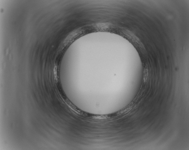 X0000087670238200705040733