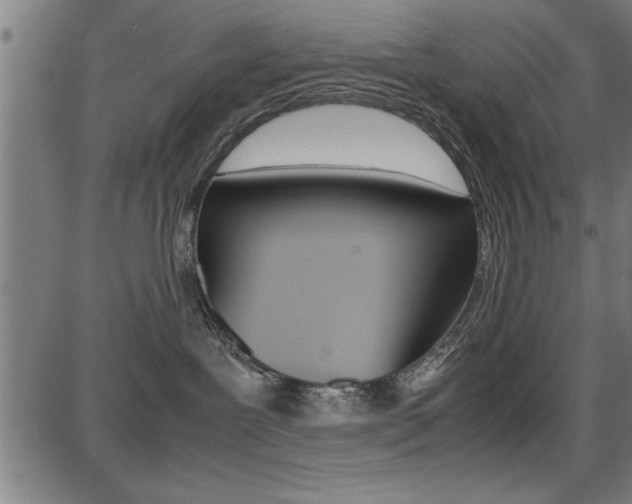 X0000087670239200705040733