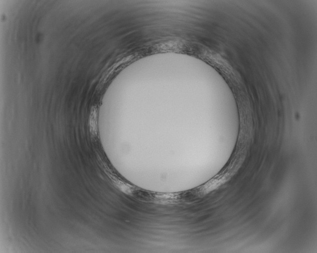 X0000087670240200705040733