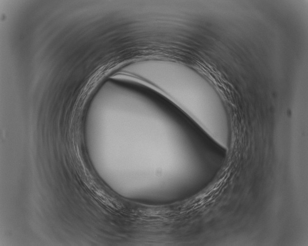 X0000087670241200705040732