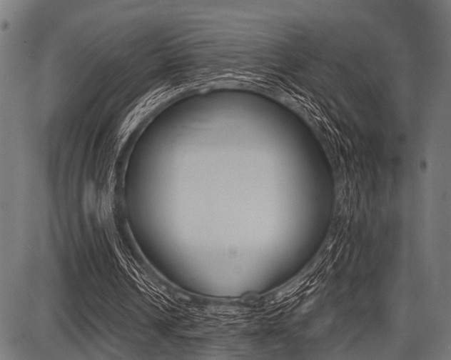 X0000087670242200705040732