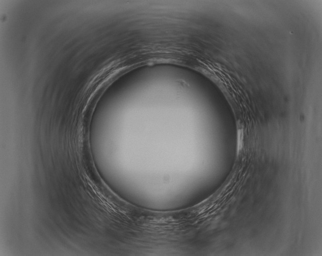 X0000087670243200705040732