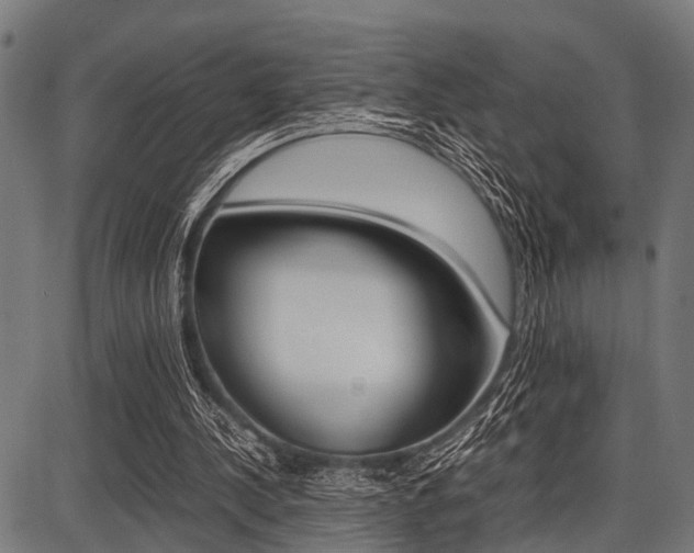 X0000087670244200705040732