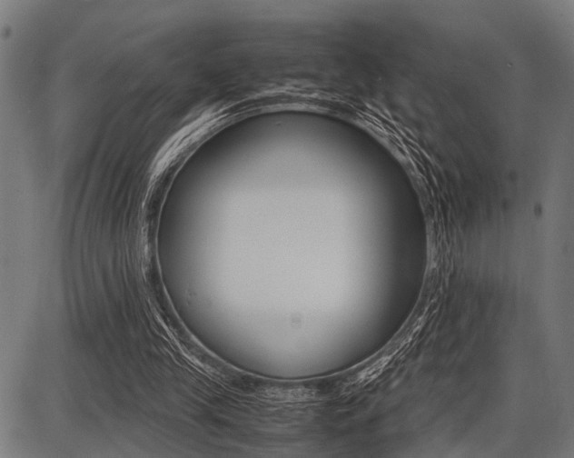 X0000087670245200705040732