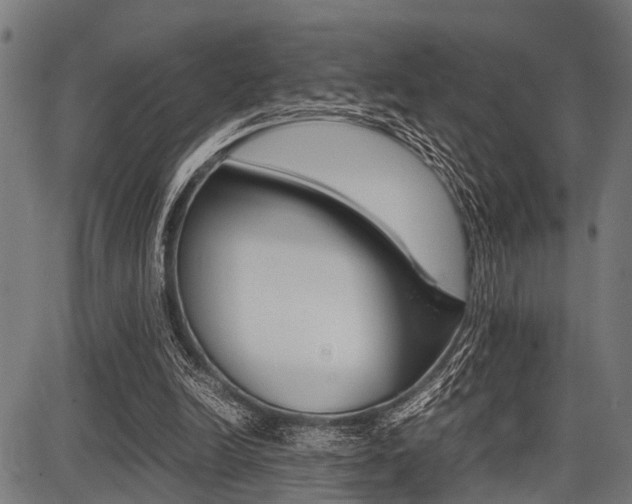 X0000087670246200705040732