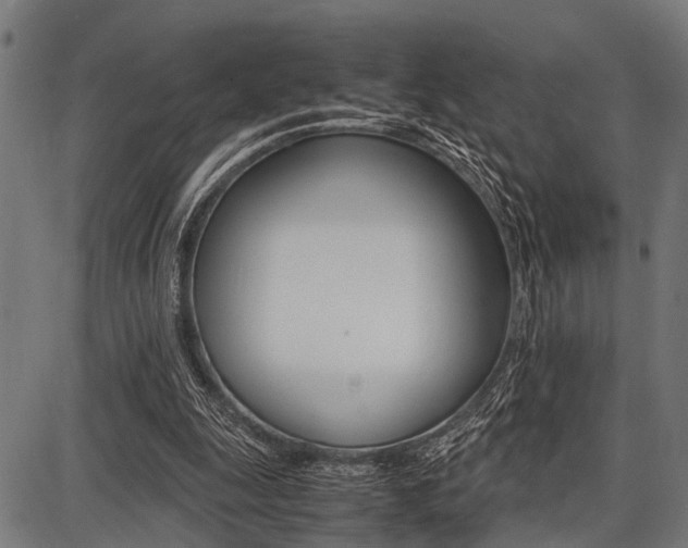 X0000087670247200705040732