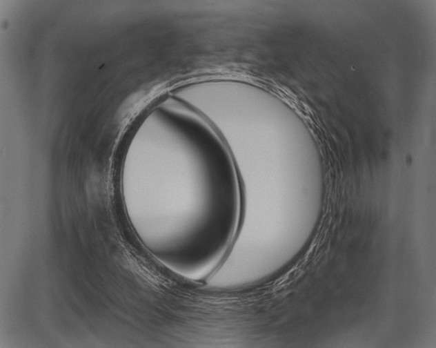 X0000087670248200705040732