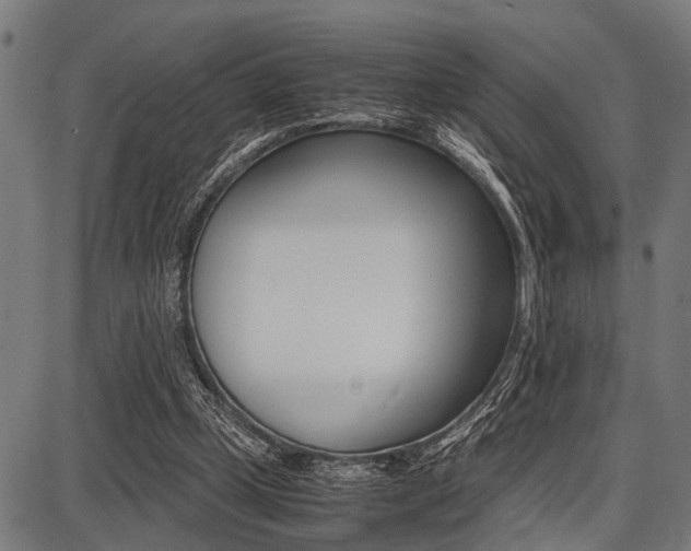 X0000087670249200705040732