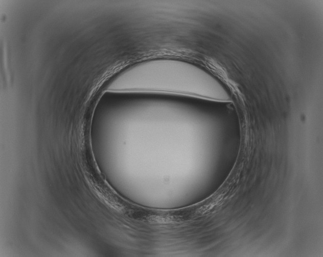 X0000087670250200705040732