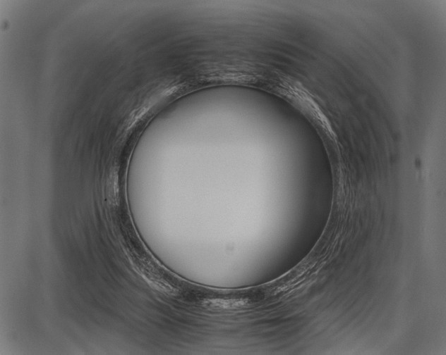 X0000087670251200705040732