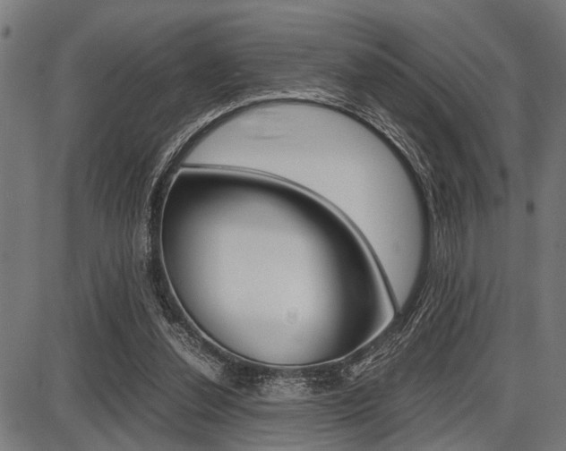 X0000087670252200705040732