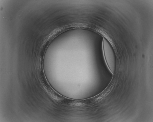 X0000087670253200705040732