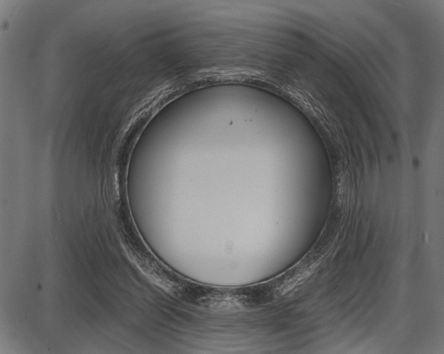 X0000087670254200705040732