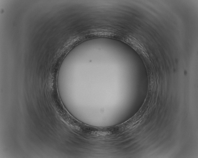 X0000087670255200705040732