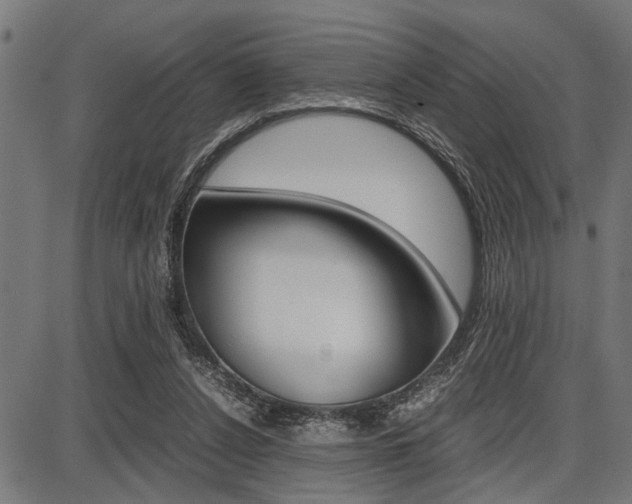 X0000087670256200705040733