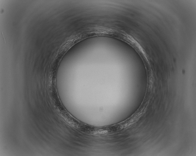 X0000087670257200705040733